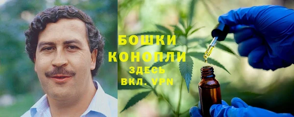 дживик Переславль-Залесский