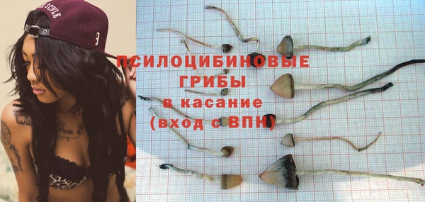 кокс Нея
