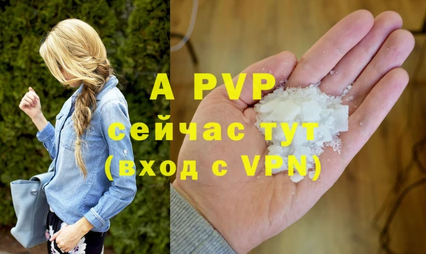дживик Переславль-Залесский