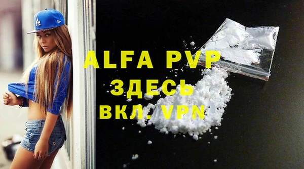 спиды Надым