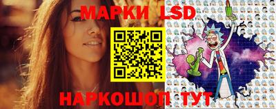 СК Новозыбков