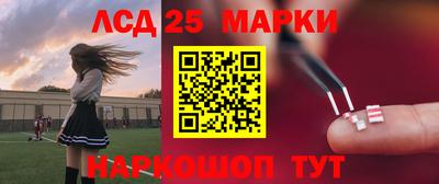 mdpv Новодвинск