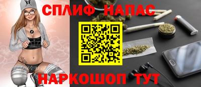 СК Новозыбков