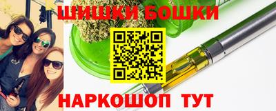 СК Новозыбков