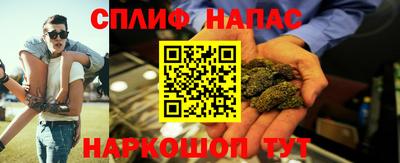 СК Новозыбков