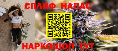 СК Новозыбков
